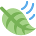 leaf_fluttering_in_wind
