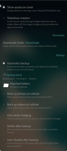 screenshot-backupsettings