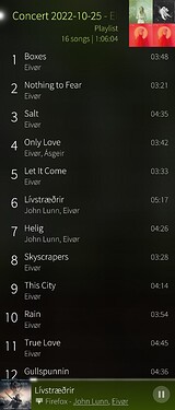 Screenshot showcasing the playlist page