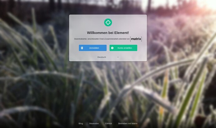 Screenshot 2025-07-03 at 12-40-43 Element