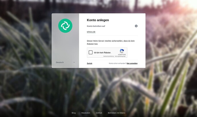 Screenshot 2025-07-03 at 13-12-51 Element