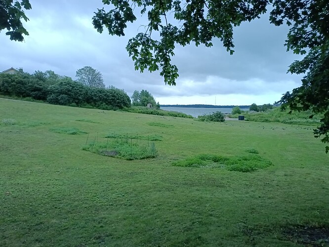 20260709_134255