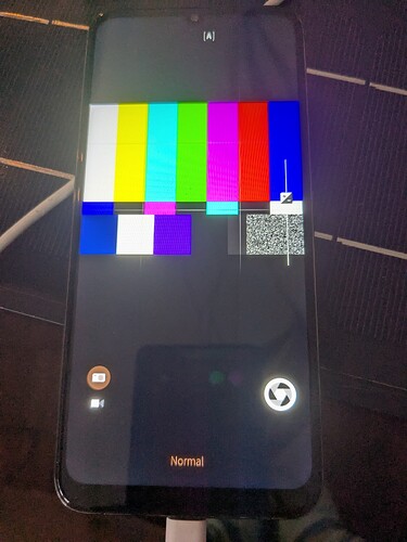 PXL_20251015_075132611