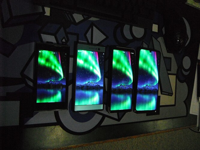 Jolla_Stable