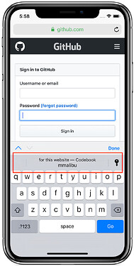 password autofill prompt in keyboard