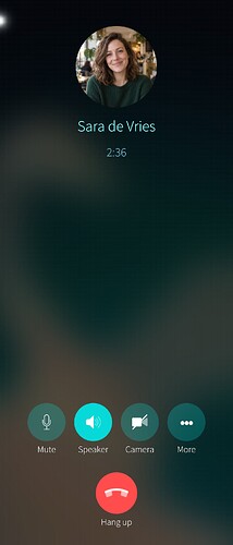 Voice call