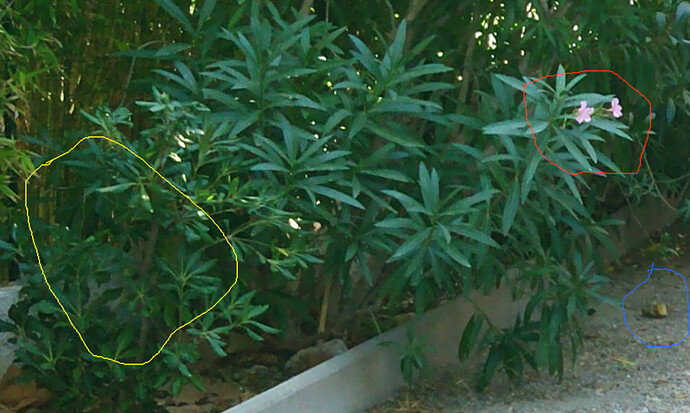 xa2-z1