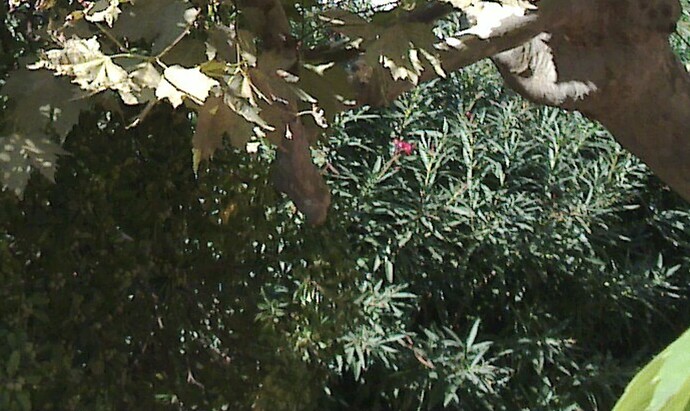 n900_close